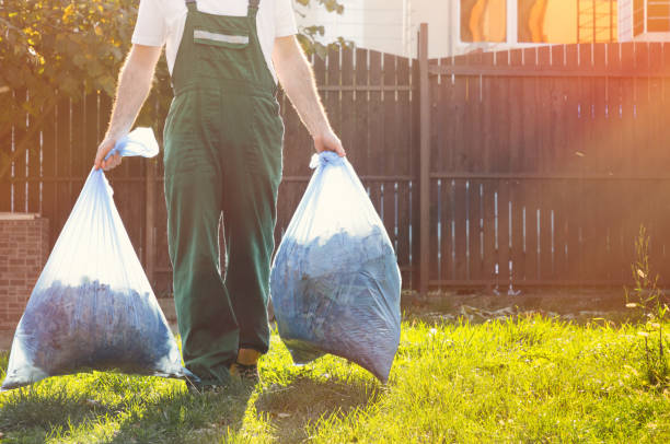 Best Shed Removal  in Chantilly, VA